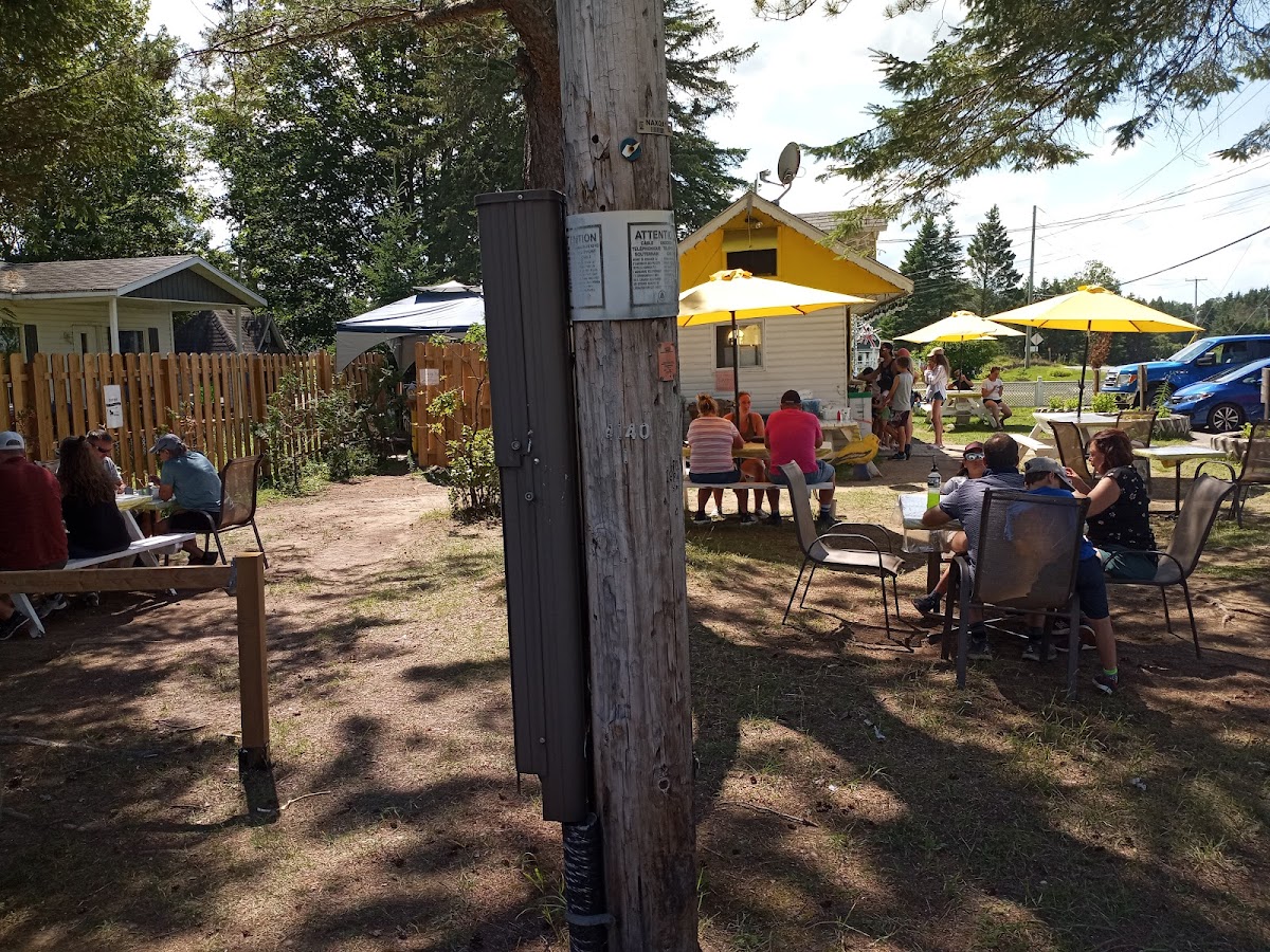 Casse-Croûte À La Belle Étoile